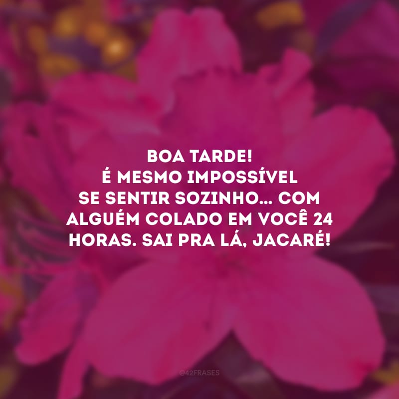 Boa tarde! É mesmo impossível se sentir sozinho… com alguém colado em você 24 horas. Sai pra lá, jacaré!