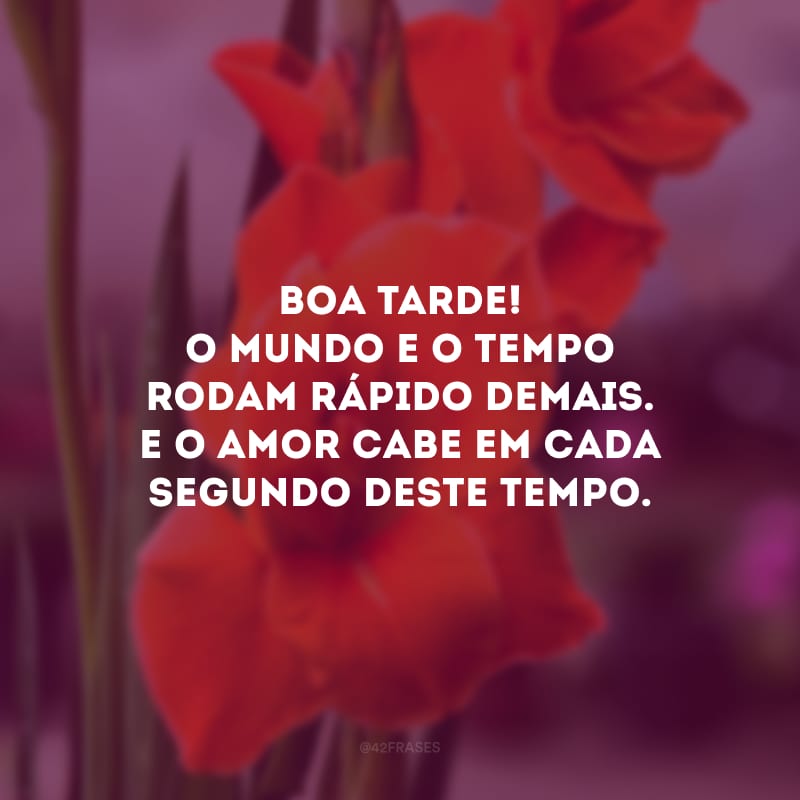 Boa tarde! O mundo e o tempo rodam rápido demais. E o amor cabe em cada segundo deste tempo.