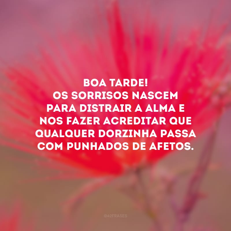 Boa tarde! Os sorrisos nascem para distrair a alma e nos fazer acreditar que qualquer dorzinha passa com punhados de afetos.