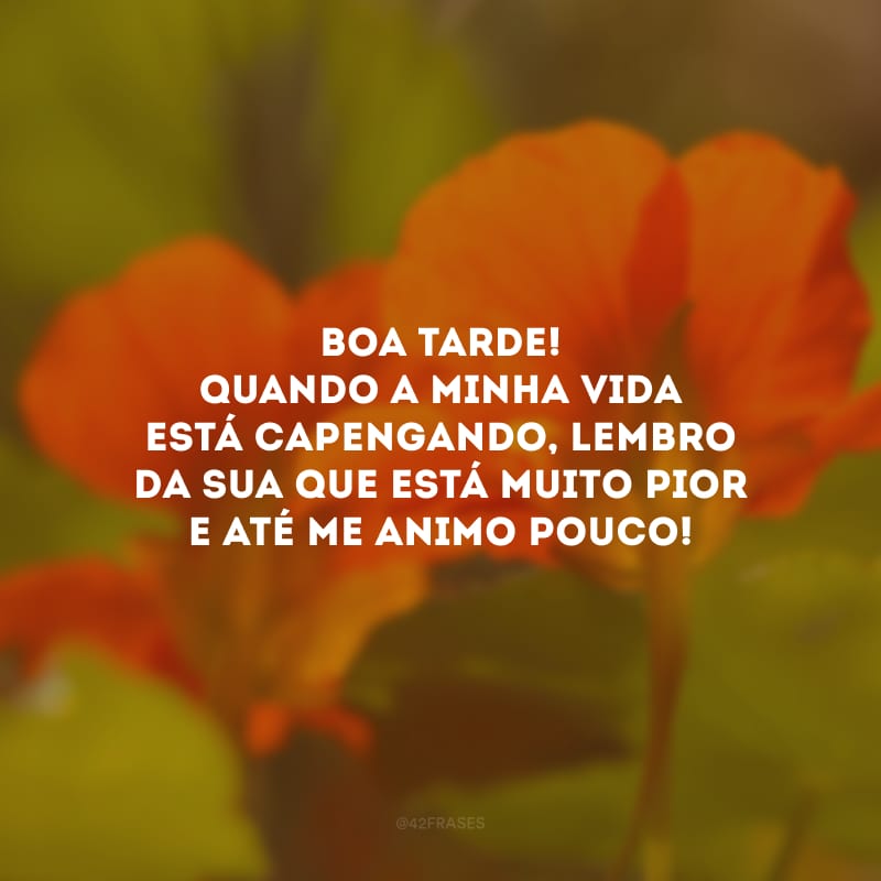 Boa tarde! Quando a minha vida está capengando, lembro da sua que está muito pior e até me animo pouco!