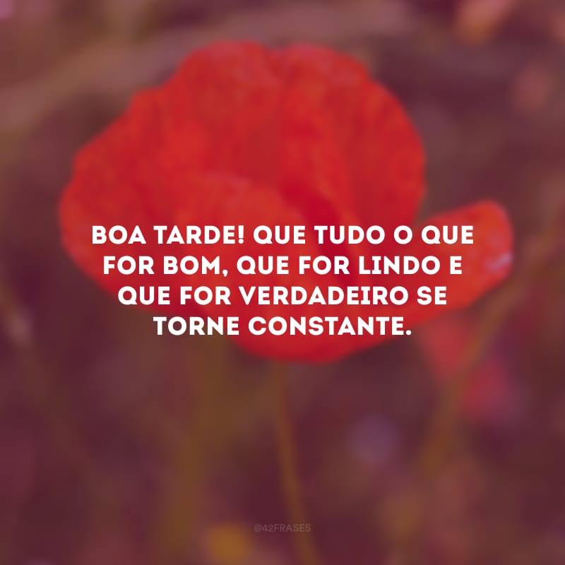 Boa tarde! Que tudo o que for bom, que for lindo e que for verdadeiro se torne constante.