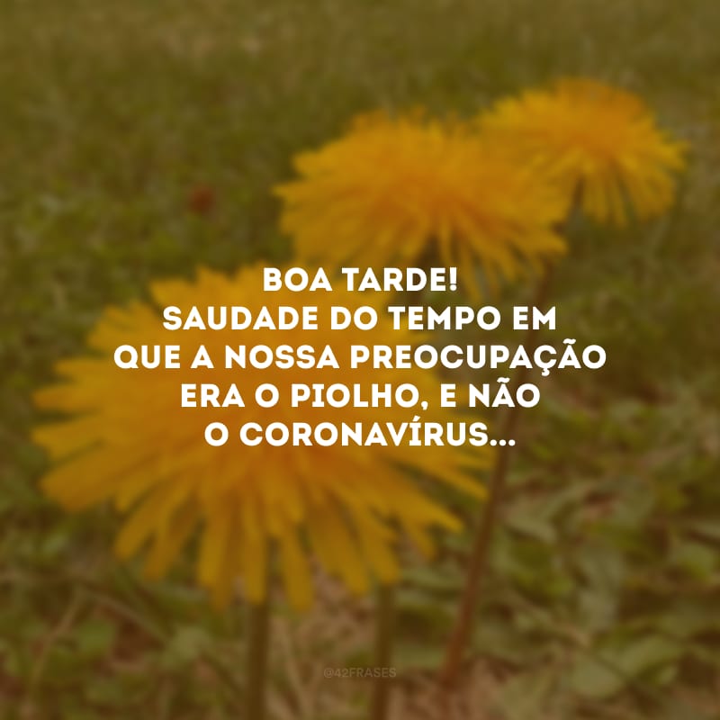 Boa tarde! Saudade do tempo em que a nossa preocupação era o piolho, e não o coronavírus...