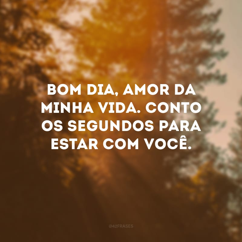 Bom dia, amor da minha vida. Conto os segundos para estar com você.
