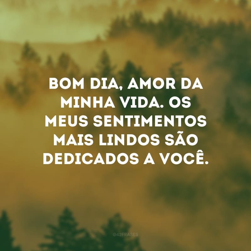 Bom dia, amor da minha vida. Os meus sentimentos mais lindos são dedicados a você.
