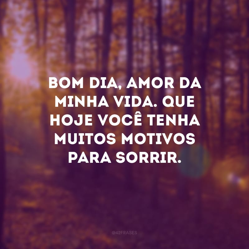 Bom dia, amor da minha vida. Que hoje você tenha muitos motivos para sorrir.
