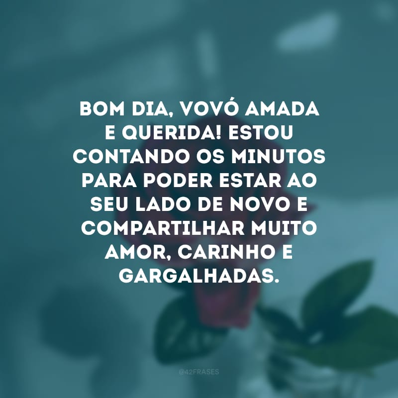 Bom dia, vovó amada e querida! Estou contando os minutos para poder estar ao seu lado de novo e compartilhar muito amor, carinho e gargalhadas.