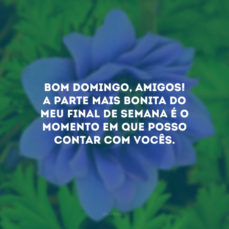 Bom domingo, amigos! A parte mais bonita do meu final de semana é o momento em que posso contar com vocês.