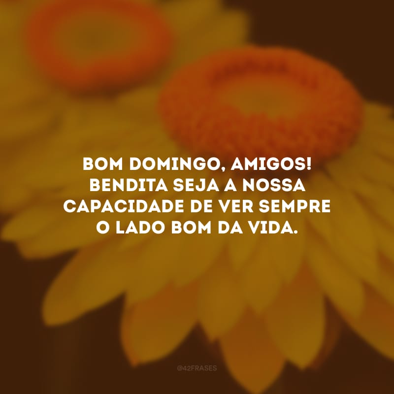 Bom domingo, amigos! Bendita seja a nossa capacidade de ver sempre o lado bom da vida.