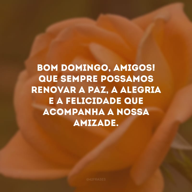 Bom domingo, amigos! Que sempre possamos renovar a paz, a alegria e a felicidade que acompanha a nossa amizade.