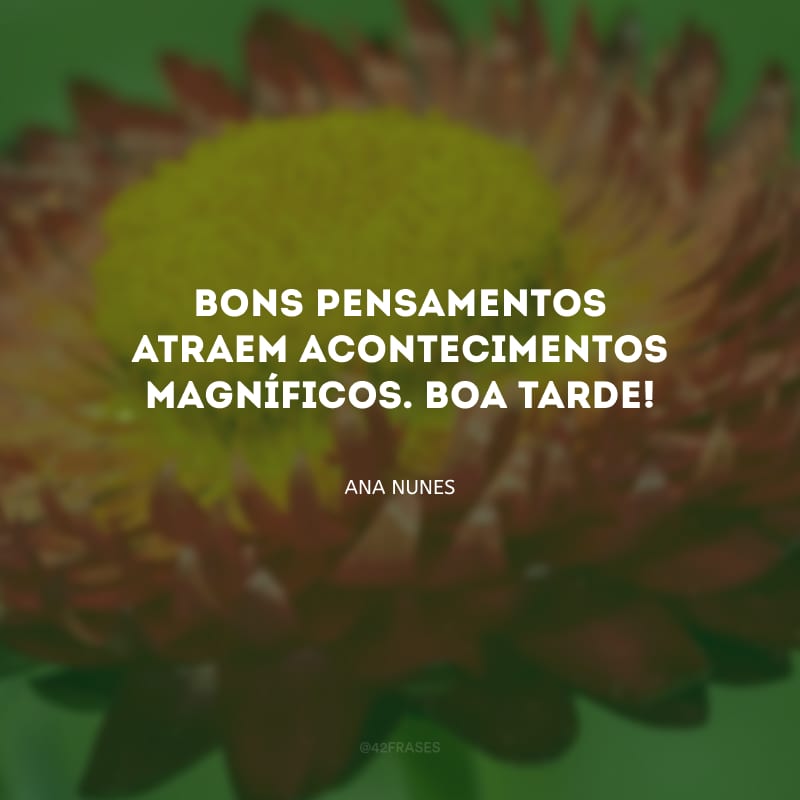 Bons pensamentos atraem acontecimentos magníficos. Boa tarde!