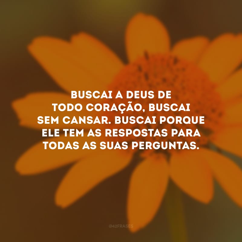 Buscai a Deus de todo coração, buscai sem cansar. Buscai porque Ele tem as respostas para todas as suas perguntas.