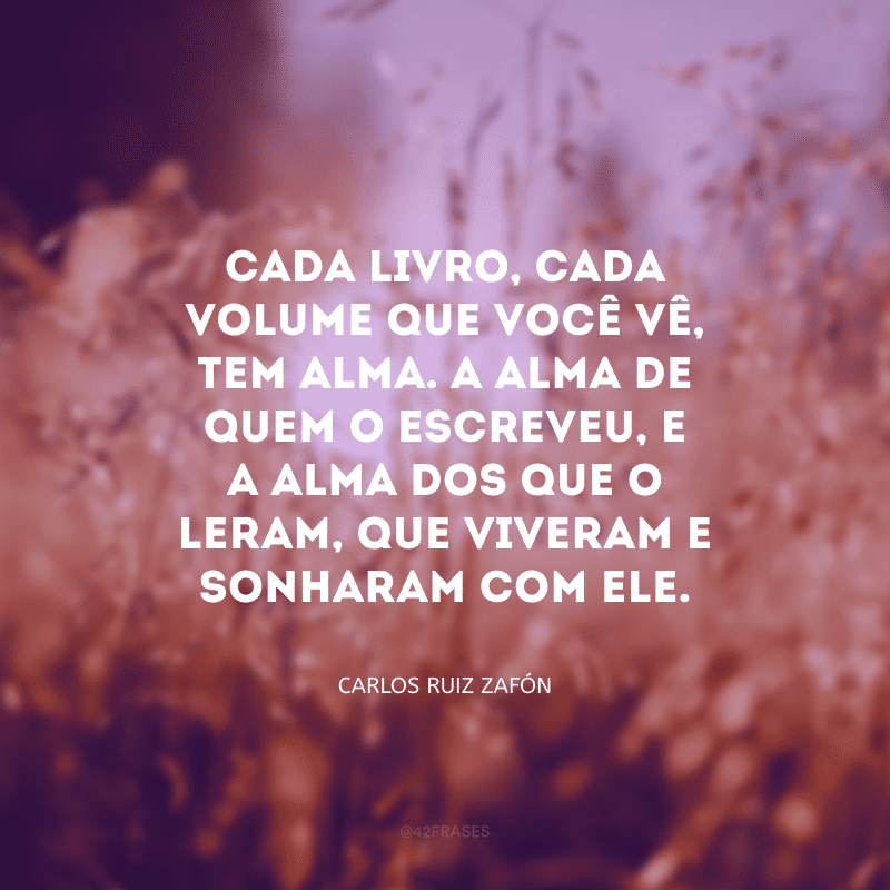 Cada livro, cada volume que você vê, tem alma. A alma de quem o escreveu, e a alma dos que o leram, que viveram e sonharam com ele. 