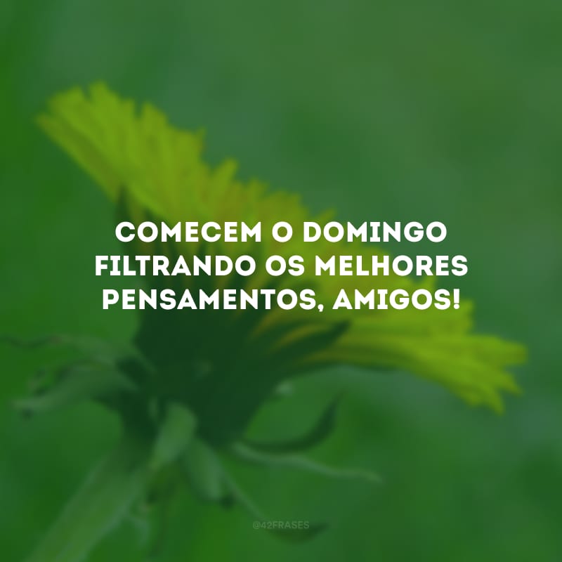 Comecem o domingo filtrando os melhores pensamentos, amigos!