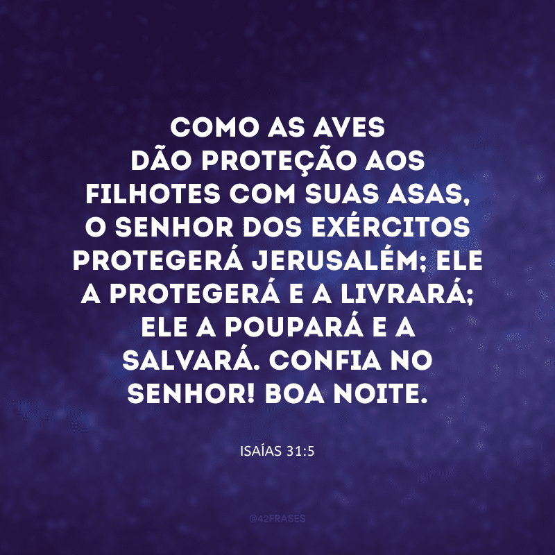 Como as aves dão proteção aos filhotes com suas asas, o Senhor dos Exércitos protegerá Jerusalém; ele a protegerá e a livrará; ele a poupará e a salvará. Confia no senhor! Boa noite. 