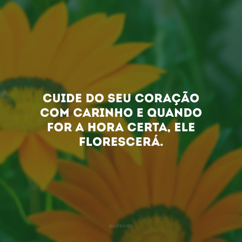 Cuide do seu coração com carinho e quando for a hora certa, ele florescerá.