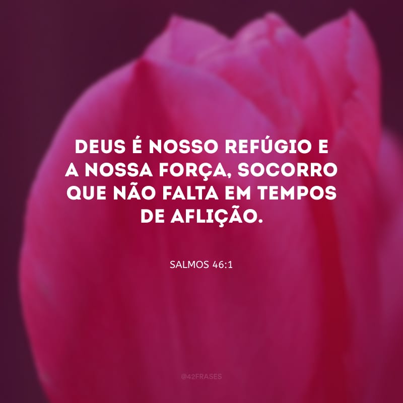 Deus é nosso refúgio e a nossa força, socorro que não falta em tempos de aflição. 