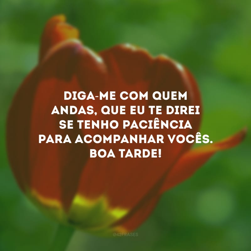 Diga-me com quem andas, que eu te direi se tenho paciência para acompanhar vocês. Boa tarde!