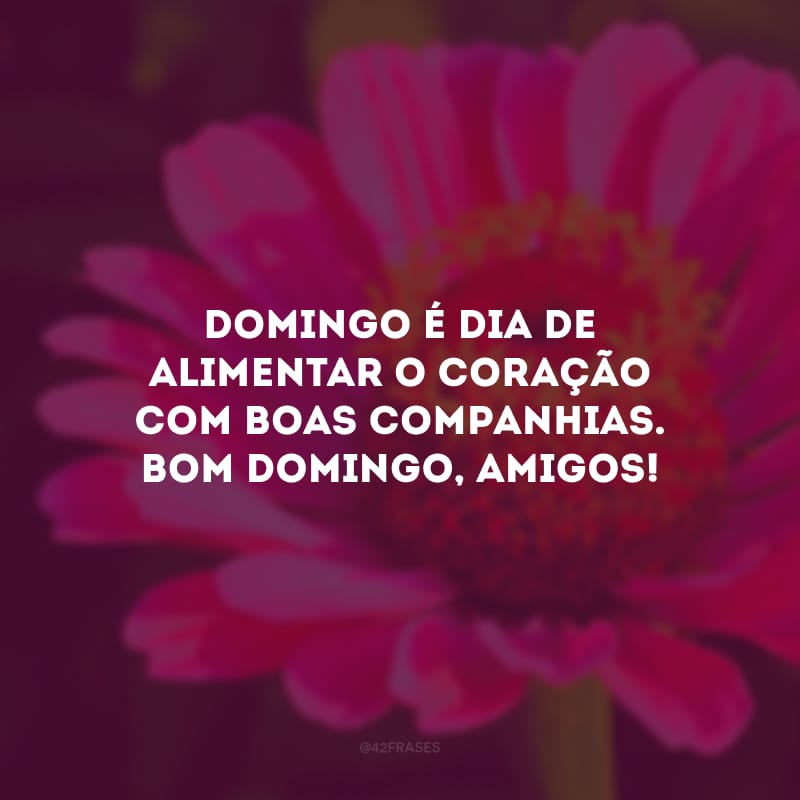 Domingo é dia de alimentar o coração com boas companhias. Bom domingo, amigos!