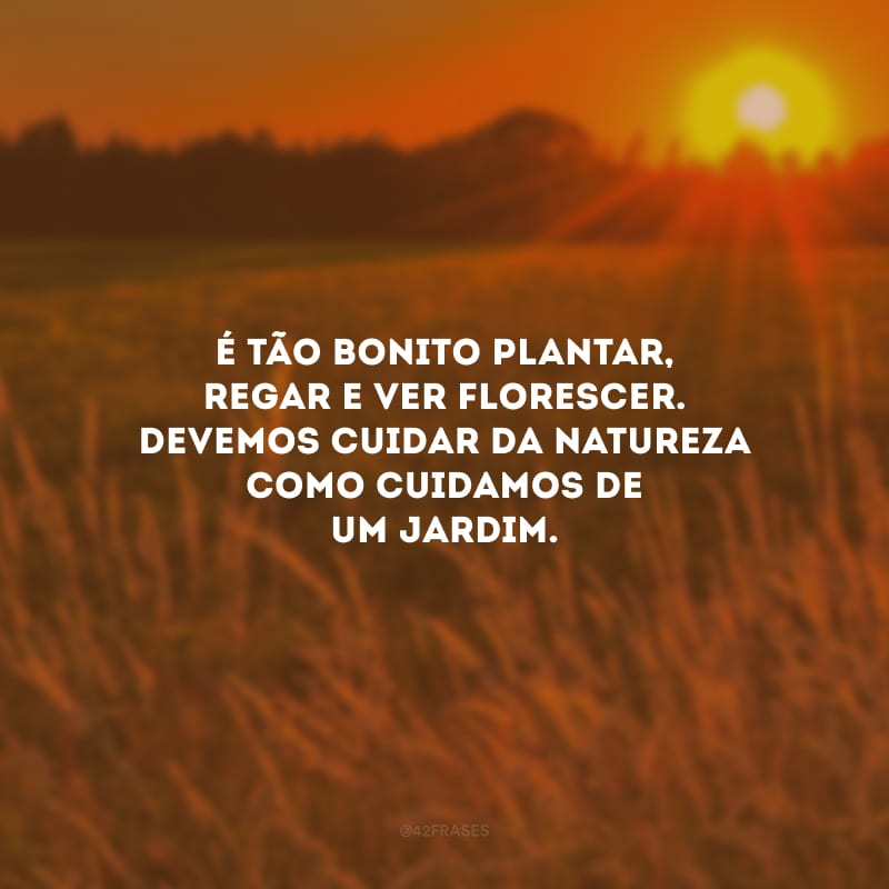 É tão bonito plantar, regar e ver florescer. Devemos cuidar da natureza como cuidamos de um jardim.

