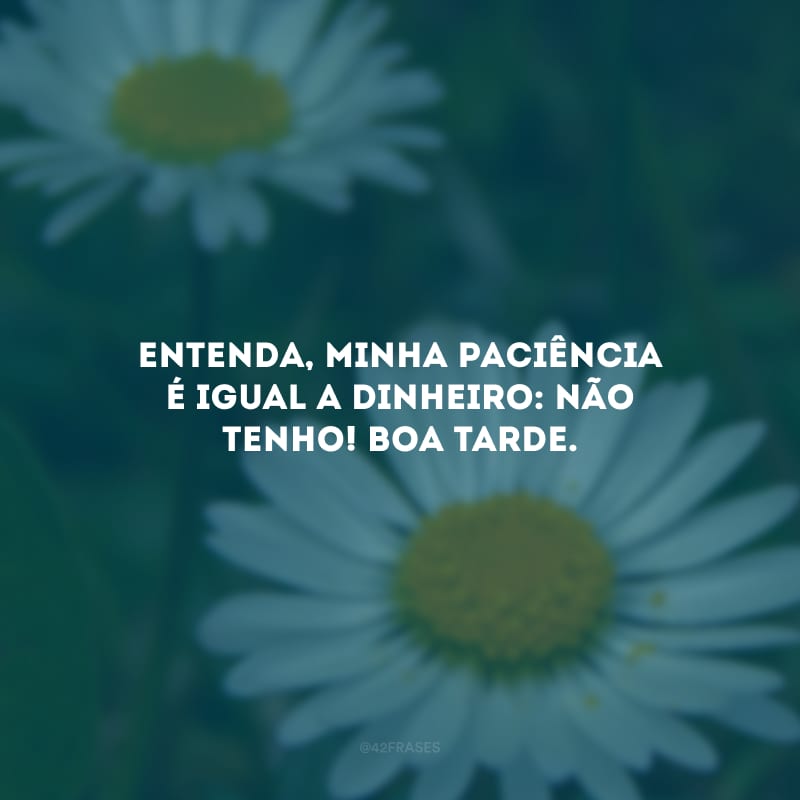 Entenda, minha paciência é igual a dinheiro: não tenho! Boa tarde.