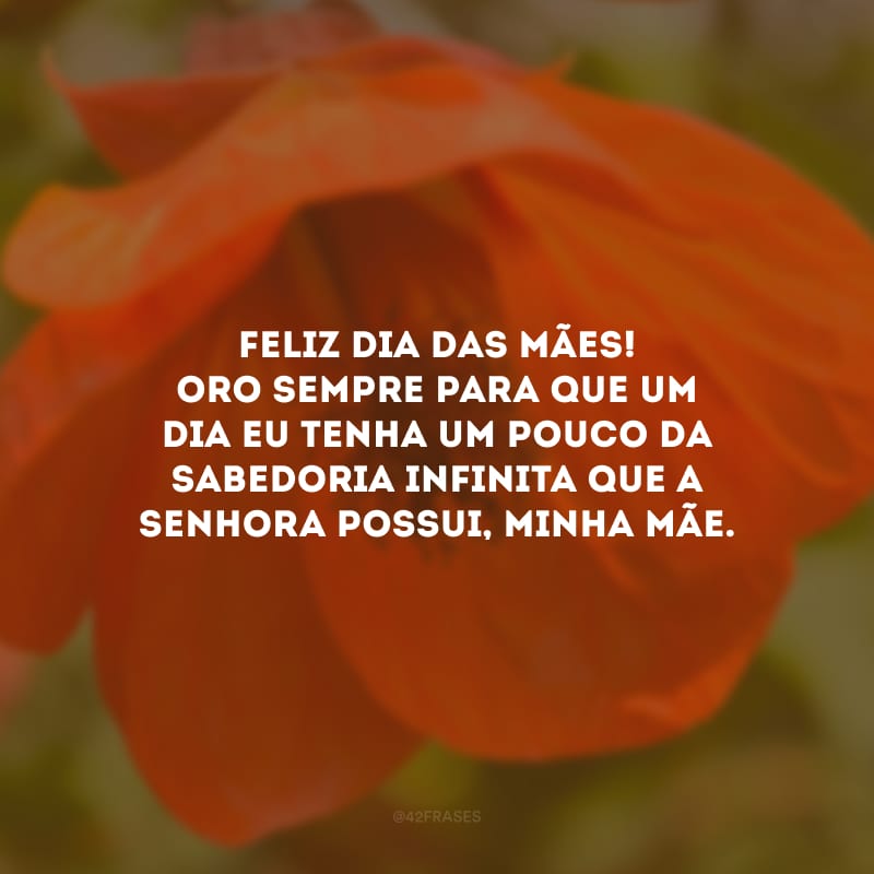 Feliz Dia das Mães! Oro sempre para que um dia eu tenha um pouco da sabedoria infinita que a senhora possui, minha mãe.