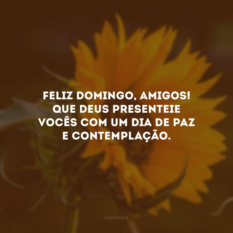 Feliz domingo, amigos! Que Deus presenteie vocês com um dia de paz e contemplação.
