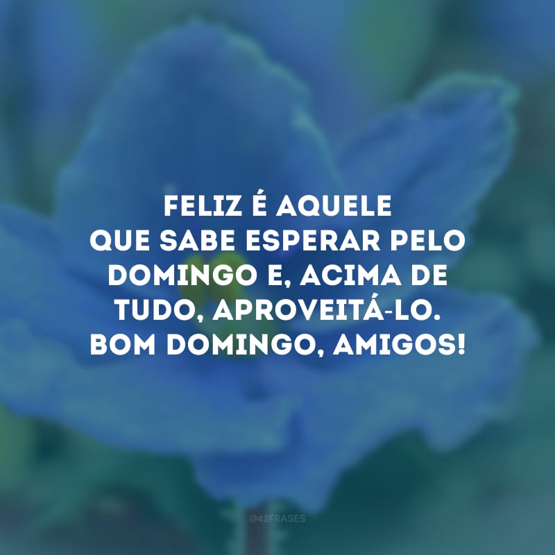 Feliz é aquele que sabe esperar pelo domingo e, acima de tudo, aproveitá-lo. Bom domingo, amigos!