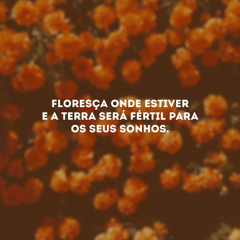 Floresça onde estiver e a terra será fértil para os seus sonhos.