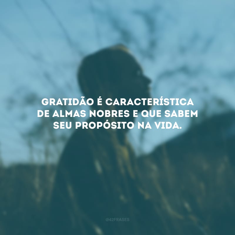 Gratidão é característica de almas nobres e que sabem seu propósito na vida.