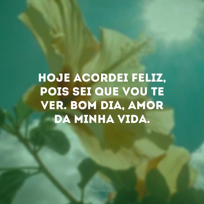 Hoje acordei feliz, pois sei que vou te ver. Bom dia, amor da minha vida.
