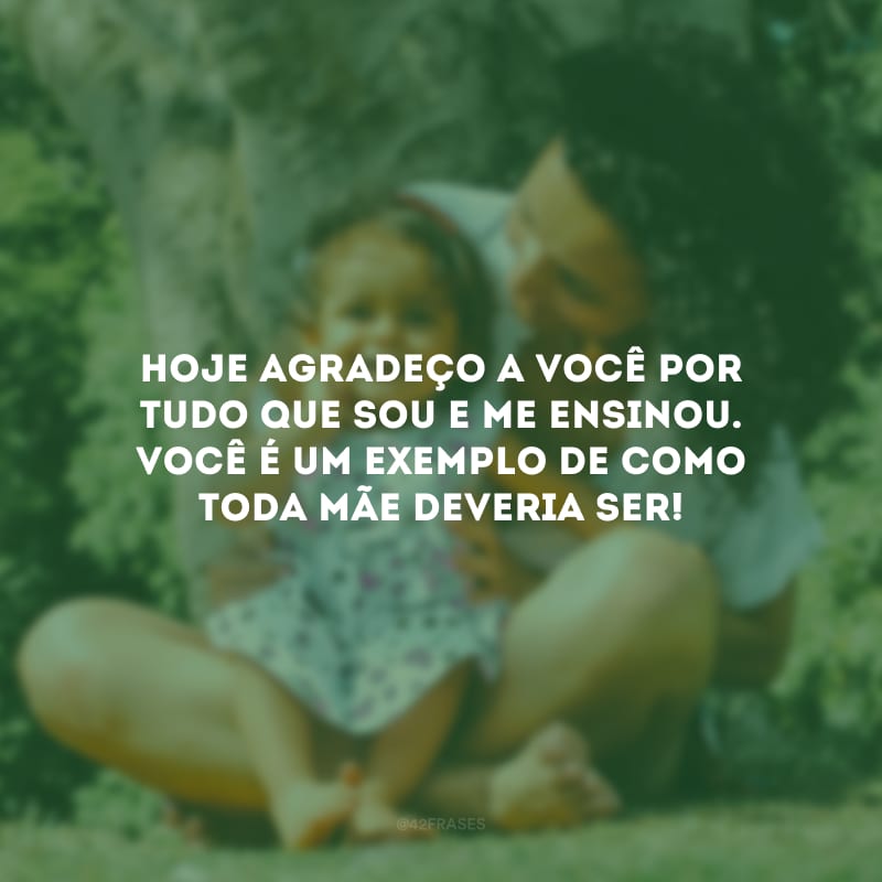 Hoje agradeço a você por tudo que sou e me ensinou. Você é um exemplo de como toda mãe deveria ser!