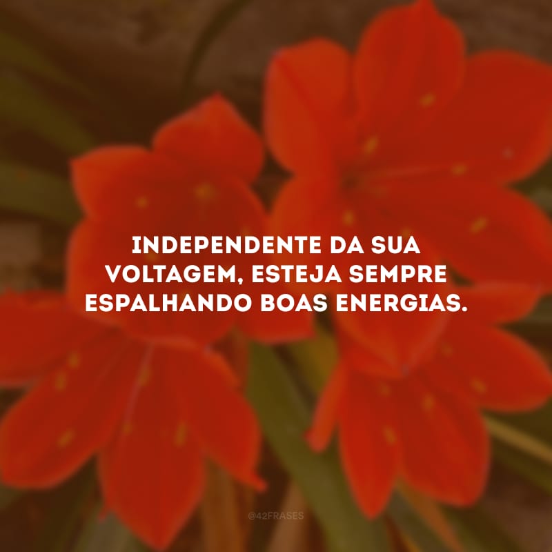 Independente da sua voltagem, esteja sempre espalhando boas energias.