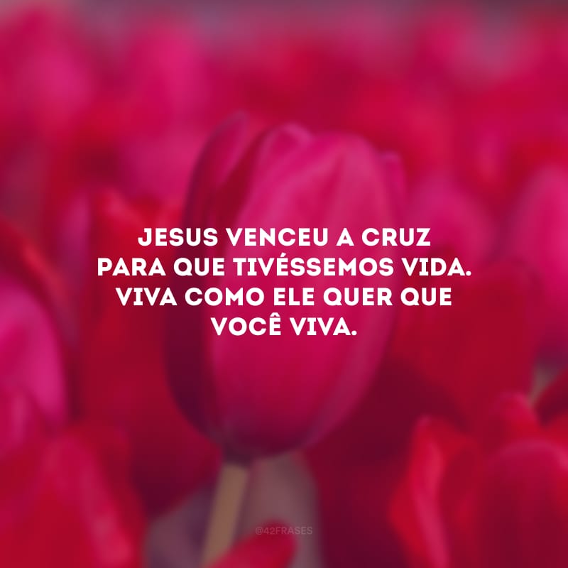 Jesus venceu a cruz para que tivéssemos vida. Viva como Ele quer que você viva.