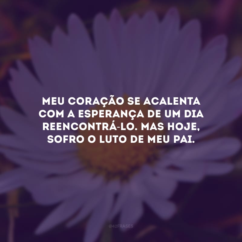 Meu coração se acalenta com a esperança de um dia reencontrá-lo. Mas hoje, sofro o luto de meu pai.