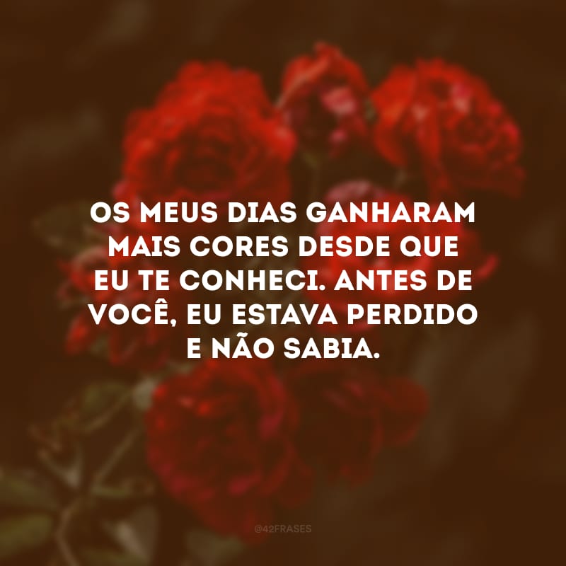 Os meus dias ganharam mais cores desde que eu te conheci. Antes de você, eu estava perdido e não sabia.