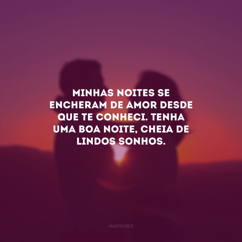 Minhas noites se encheram de amor desde que te conheci. Tenha uma boa noite, cheia de lindos sonhos.