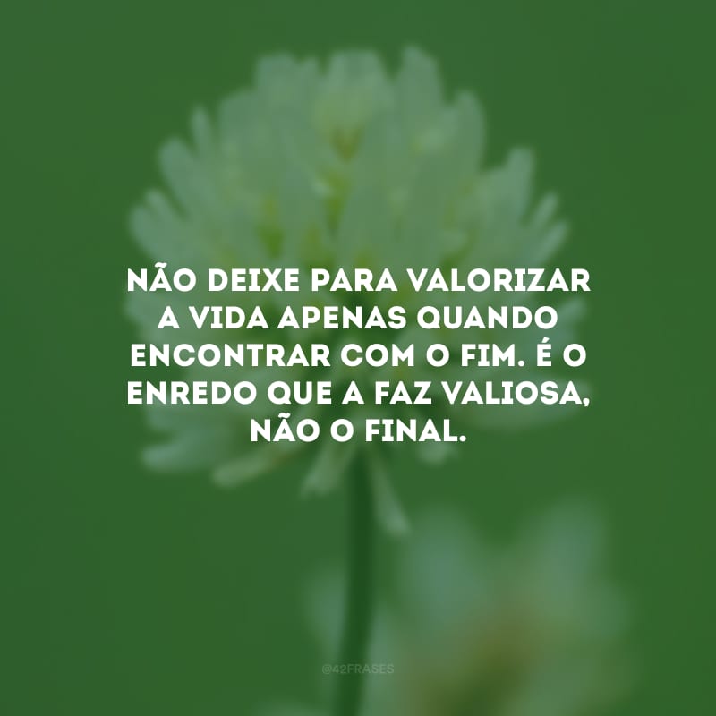 Não deixe para valorizar a vida apenas quando encontrar com o fim. É o enredo que a faz valiosa, não o final. 