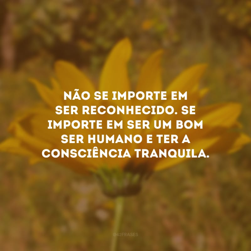 Não se importe em ser reconhecido. Se importe em ser um bom ser humano e ter a consciência tranquila.