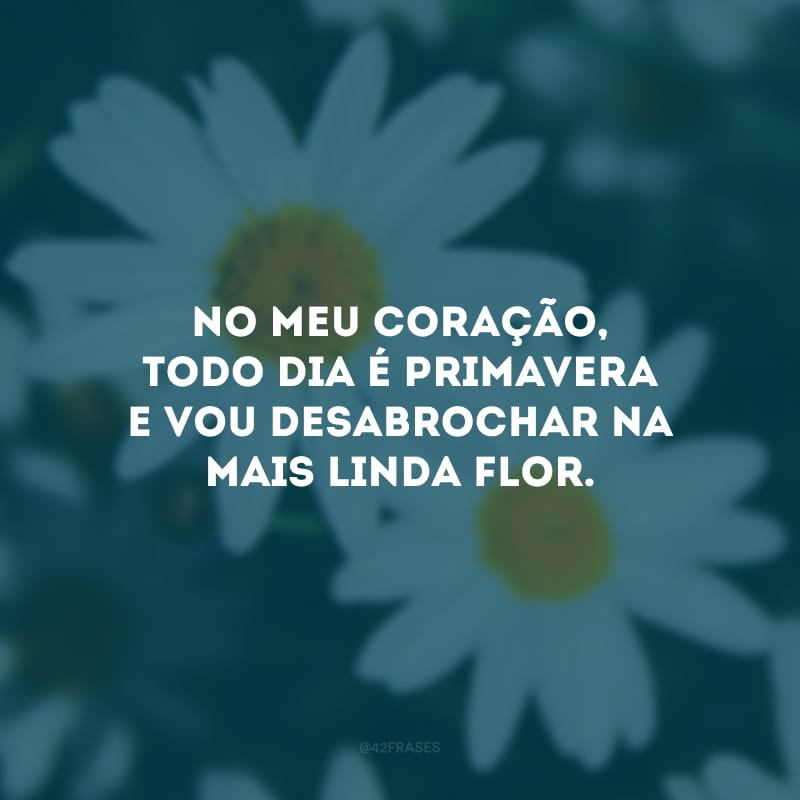 No meu coração, todo dia é primavera e vou desabrochar na mais linda flor.