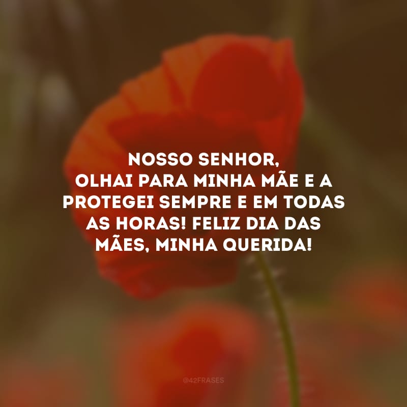 Nosso Senhor, olhai para minha mãe e a protegei sempre e em todas as horas! Feliz Dia das Mães, minha querida!