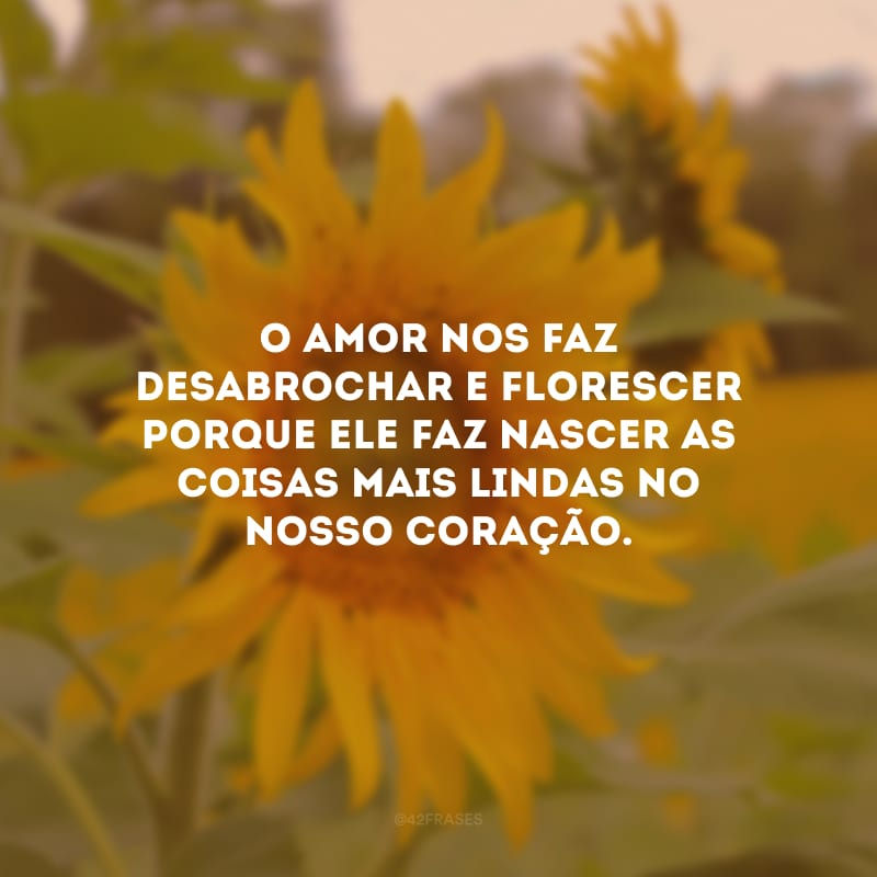 O amor nos faz desabrochar e florescer porque ele faz nascer as coisas mais lindas no nosso coração.