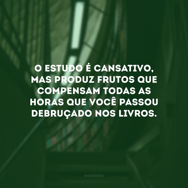 O estudo é cansativo, mas produz frutos que compensam todas as horas que você passou debruçado nos livros.