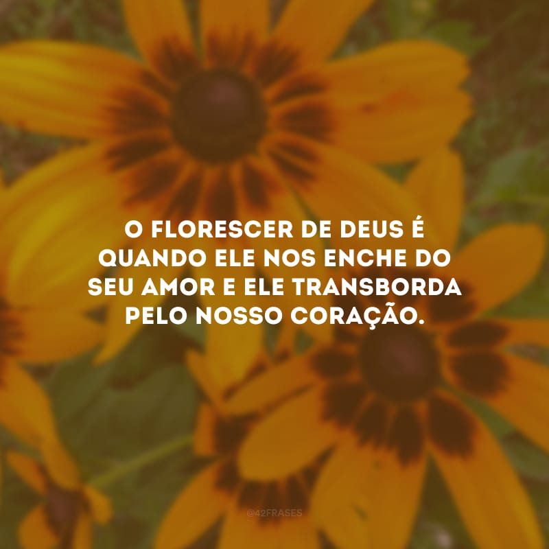 O florescer de Deus é quando Ele nos enche do seu amor e ele transborda pelo nosso coração.