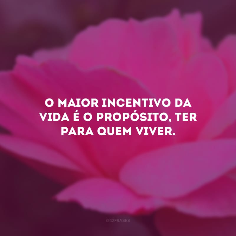 O maior incentivo da vida é o propósito, ter para quem viver. 