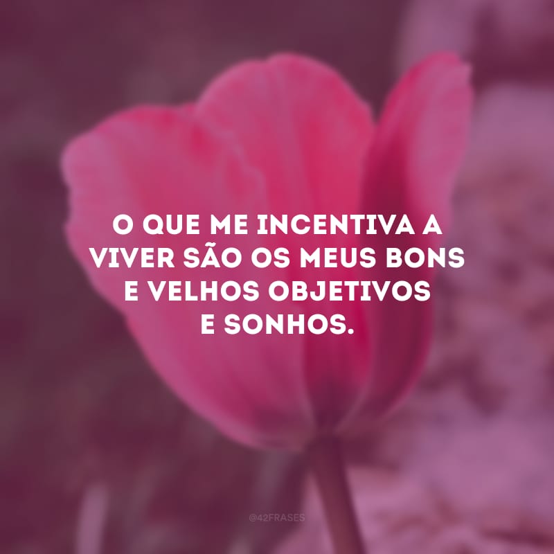 O que me incentiva a viver são os meus bons e velhos objetivos e sonhos. 