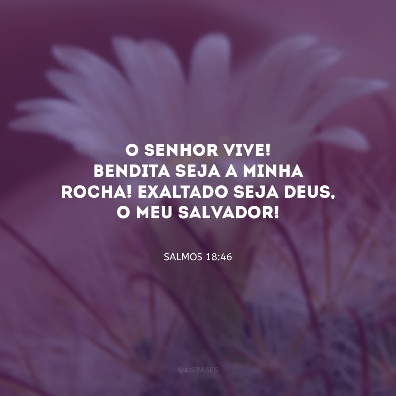 O Senhor vive! Bendita seja a minha Rocha! Exaltado seja Deus, o meu Salvador! 