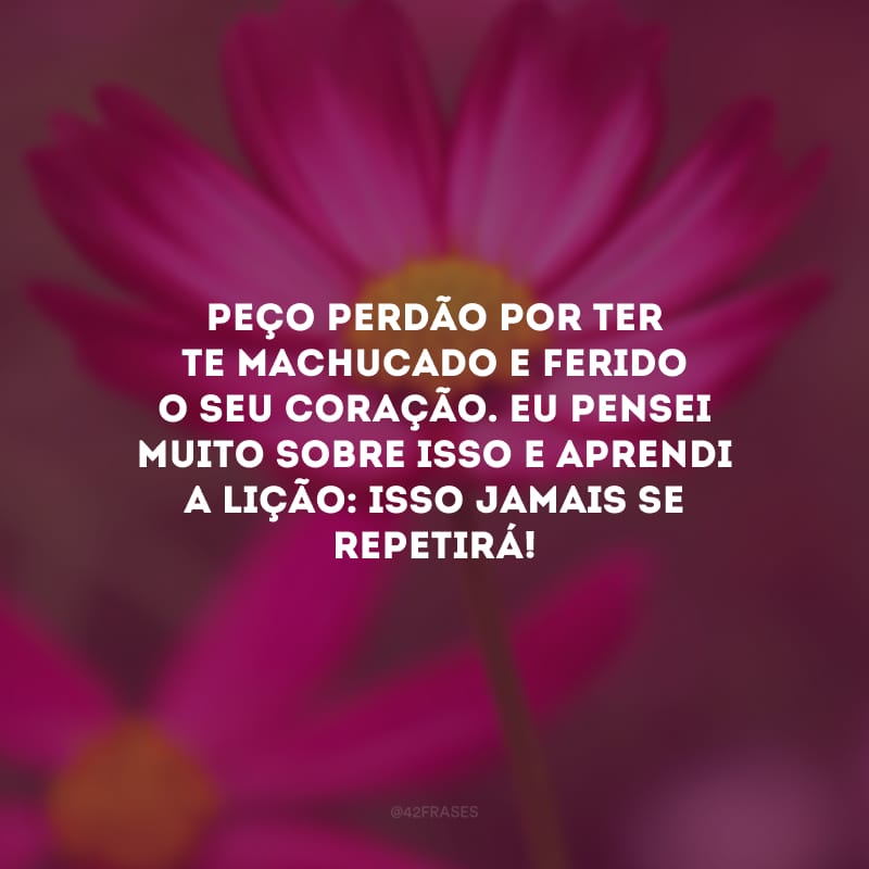 Peço perdão por ter te machucado e ferido o seu coração. Eu pensei muito sobre isso e aprendi a lição: isso jamais se repetirá!