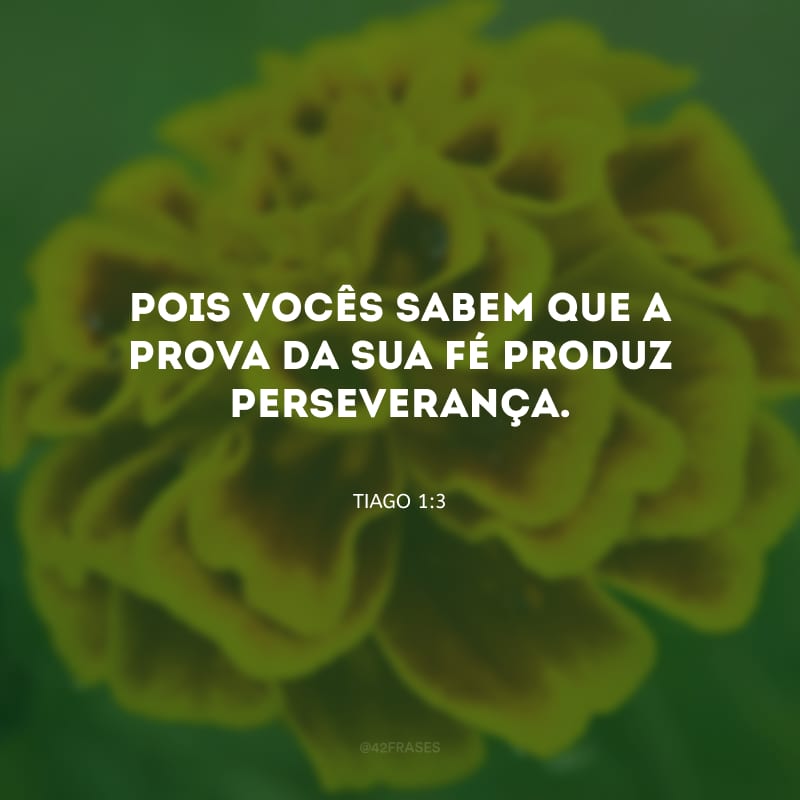 Pois vocês sabem que a prova da sua fé produz perseverança.