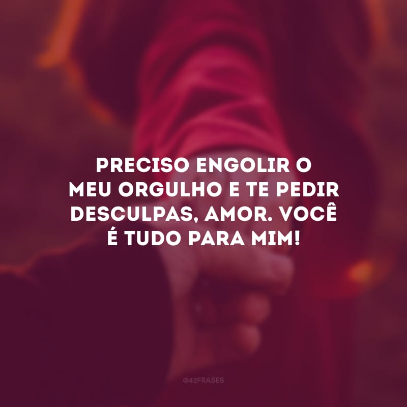 Preciso engolir o meu orgulho e te pedir desculpas, amor. Você é tudo para mim!