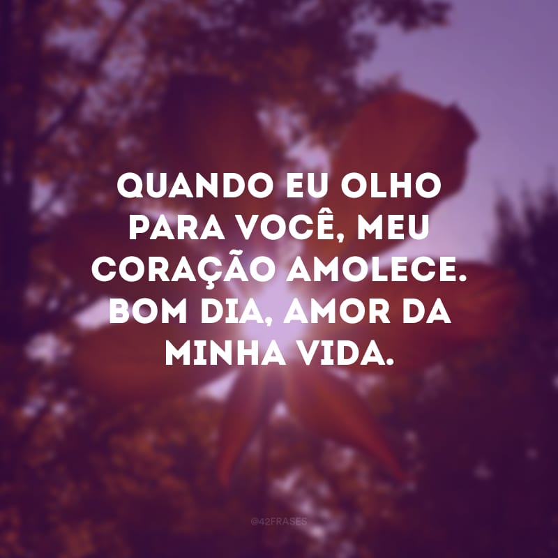 Quando eu olho para você, meu coração amolece. Bom dia, amor da minha vida.
